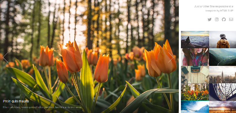 Fotoğraf Sergi Tasarımı